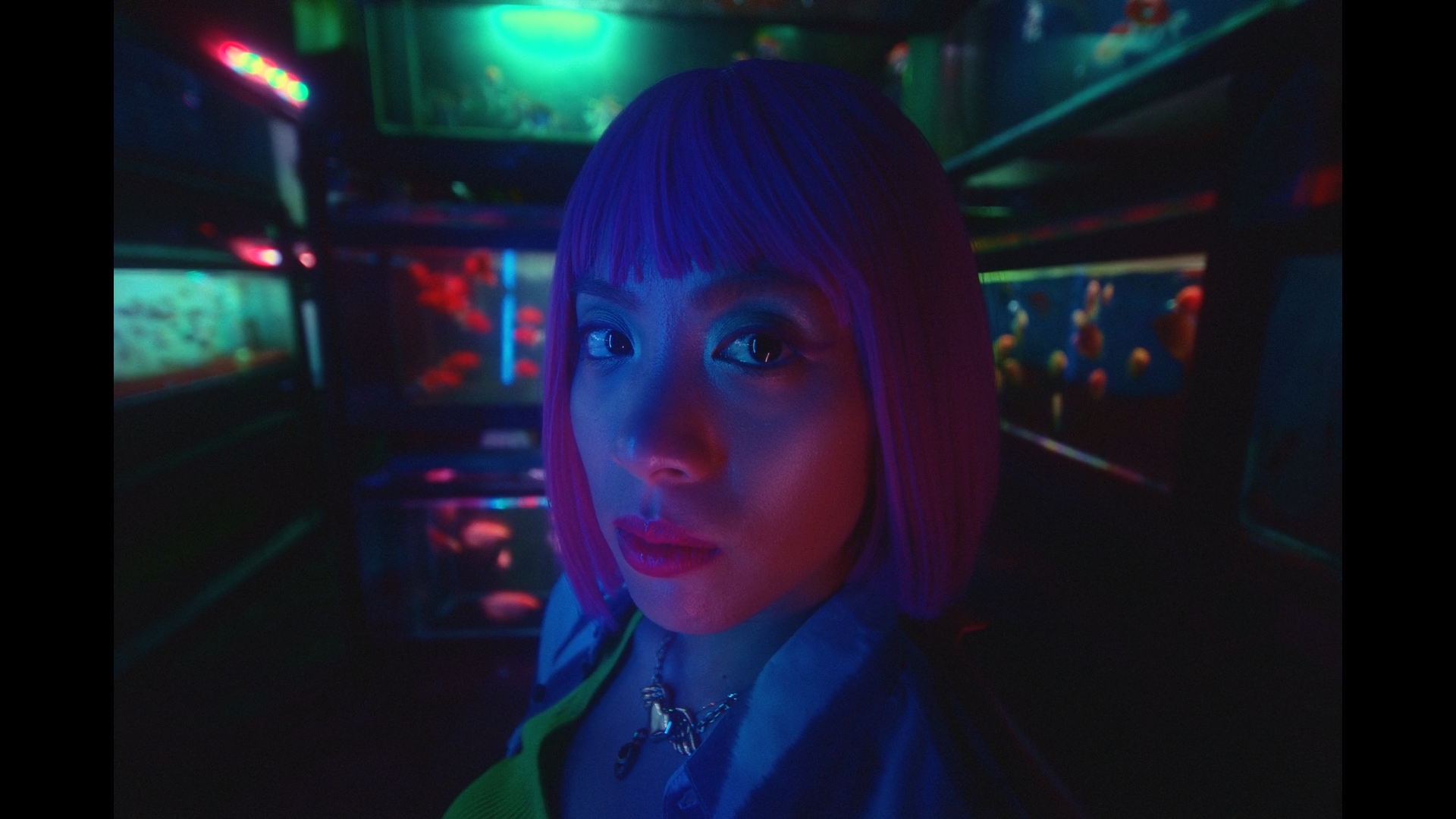 Still 2026-02-12 222258_1.1.18