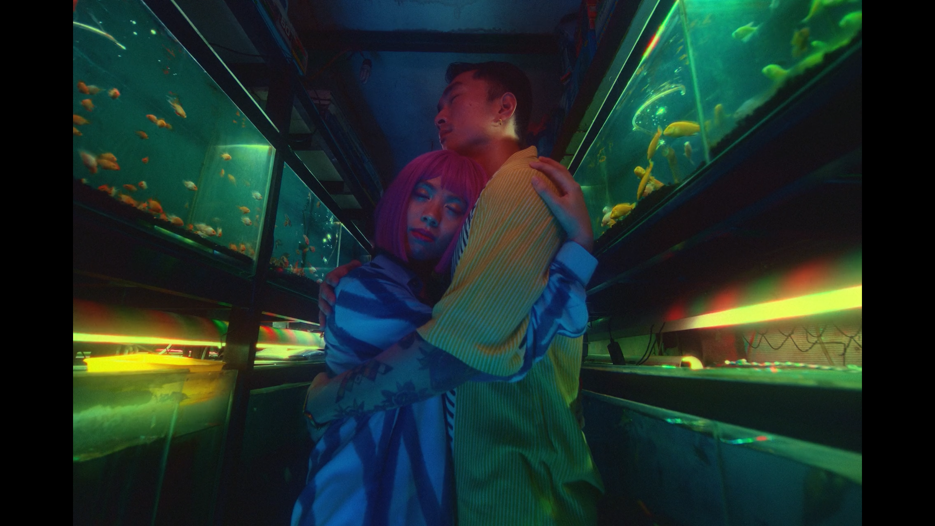 Still 2026-02-12 222258_1.1.7