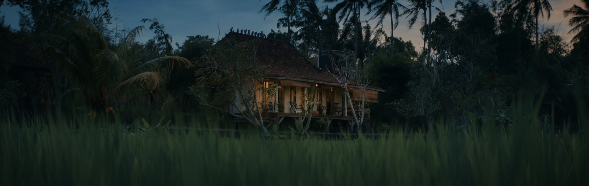 XL_DC_STILLS_CROP_1.23.1